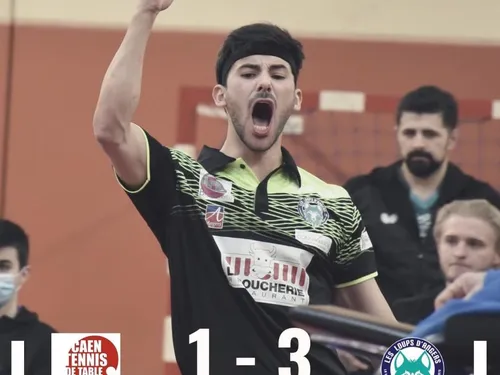 Tennis de table: les Loups d'Angers champions de France 