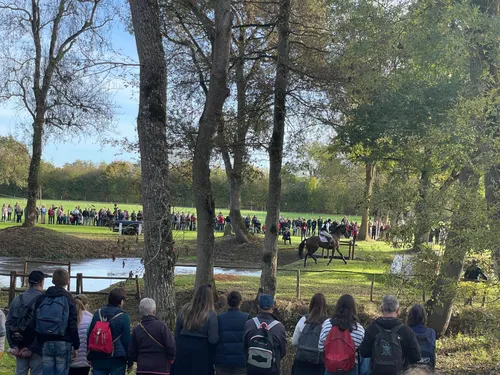 Mondial du Lion : un cheval saute dans la foule et blesse une...