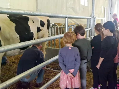 Segré. La foire exposition est de retour après deux ans d'absence