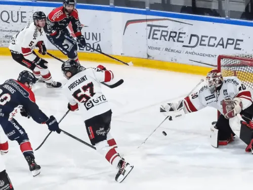 Hockey sur glace. Les Ducs d'Angers dominent les Boxers de Bordeaux