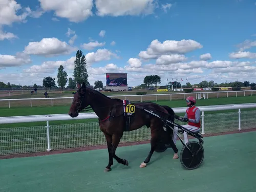 Les pronostics hippiques pour ce dimanche 14 janvier