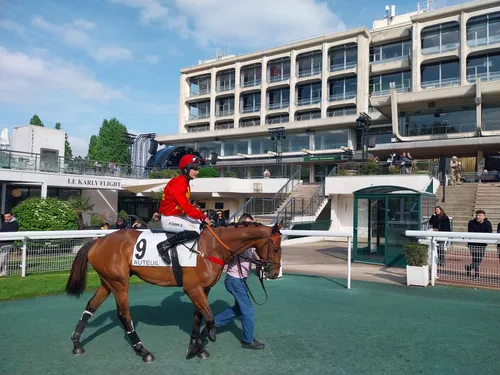 Les pronostics hippiques pour ce dimanche 1er mars