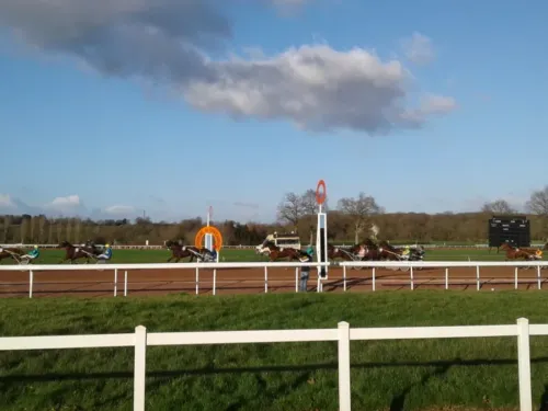 Hippisme : nos préférés du jour