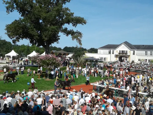 Chaleur : les hippodromes adaptent leurs horaires ce week-end