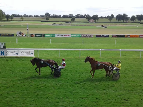 Hippisme : nos préférés pour ce dimanche 26 juin