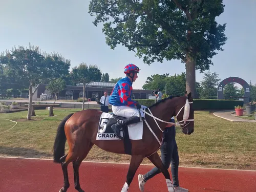 Les pronostics hippiques pour ce dimanche 3 décembre