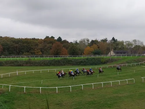 Les pronostics hippiques pour ce dimanche 9 novembre