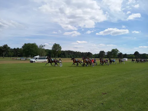 Les pronostics hippiques pour ce dimanche 10 septembre