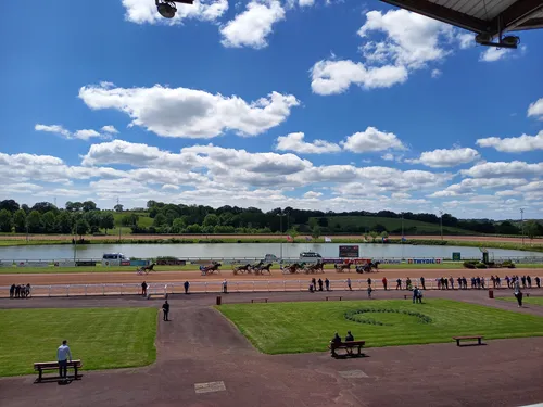 Hippisme : nos préférés pour ce samedi 19 novembre