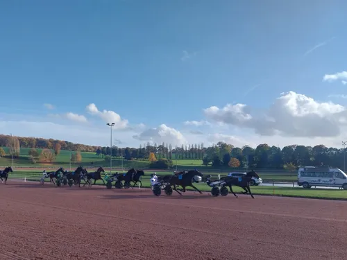 Les pronostics hippiques pour ce samedi 15 novembre