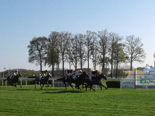 Hippisme : nos préférés pour ce dimanche 17 avril