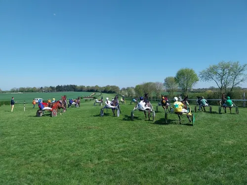 Les pronostics hippiques pour ce samedi 31 janvier