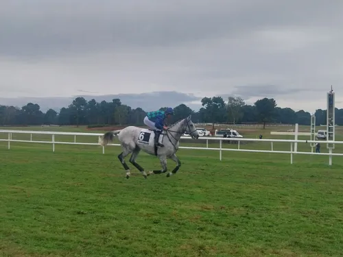 Les pronostics hippiques pour ce dimanche 2 novembre