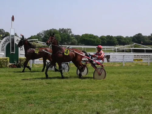 Hippisme : nos préférés pour ce dimanche 1er mai