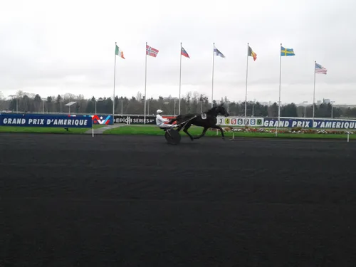 Hippisme : nos préférés pour ce dimanche 29 janvier