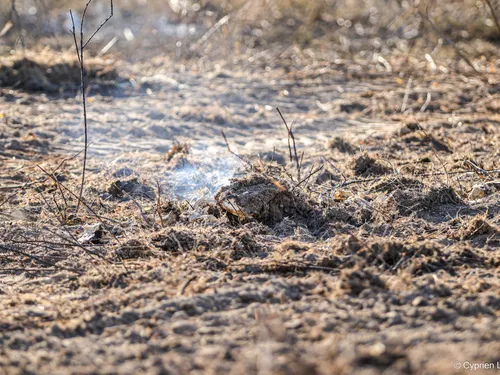 Chaleur : plusieurs feux de végétation en Mayenne ce mardi, la...