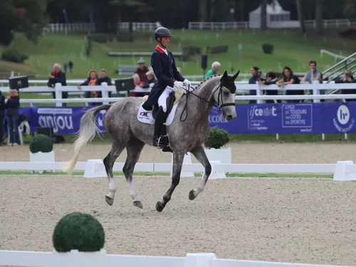 EN IMAGES. Mondial du Lion : les Français bien placés après la...
