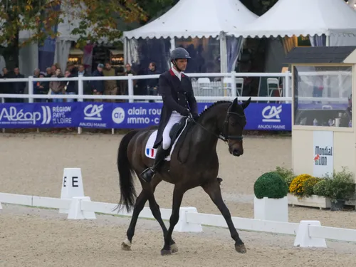 EN IMAGES. Mondial du Lion 2023 : Nicolas Touzaint en tête chez les...