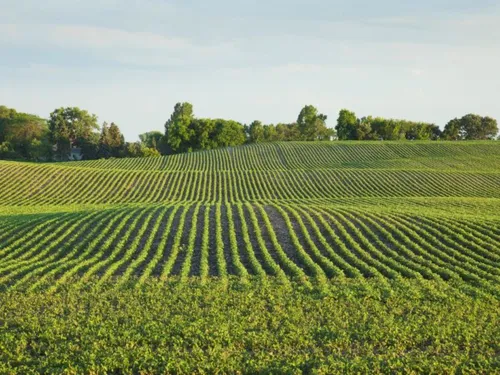 Guerre en Ukraine : les agriculteurs face aux répercussions...