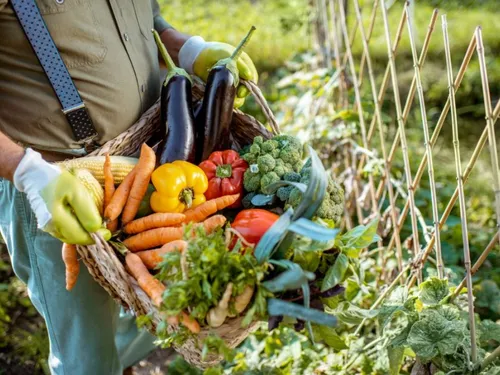 Le Pays de l'Anjou Bleu lance une enquête sur vos habitudes...