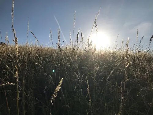 Canicule : plusieurs événements annulés dans le Haut-Anjou et la...
