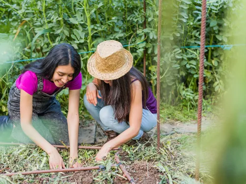 Laval. La Ferme urbaine se précise dans le quartier de Saint-Nicolas