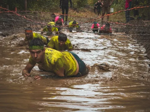 Lion d'Angers. Des baskets, de la sueur et de la boue... C'est...