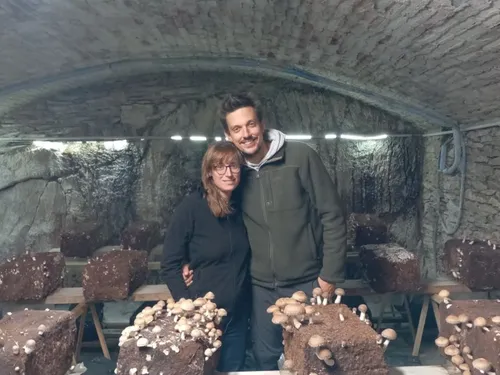 Anjou Bleu. Ils ont tout plaqué pour produire des champignons