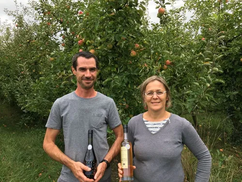 Aviré. Dans les vergers, des pommes moins grosses à cause de la...