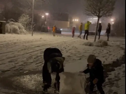 Montreuil-Juigné. La neige a fait le bonheur des habitants de ce...