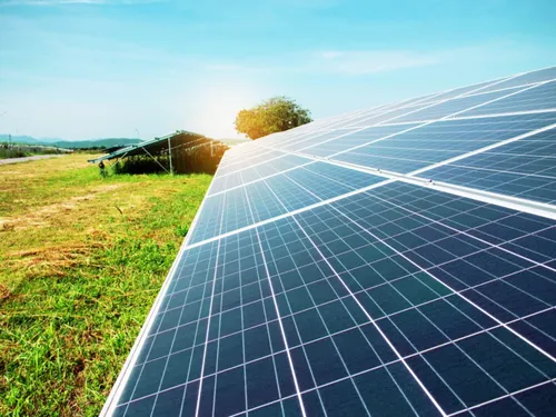 Climat : le Sud-Mayenne comme précurseur dans la transition écologique