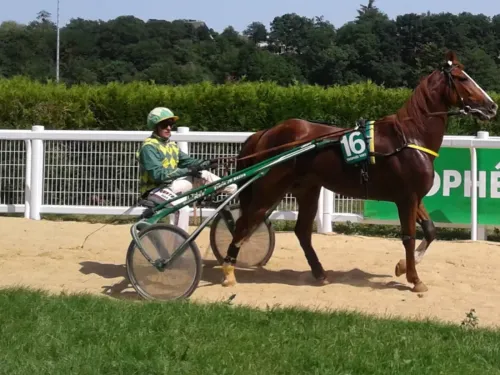 Réunion Quinté du jour