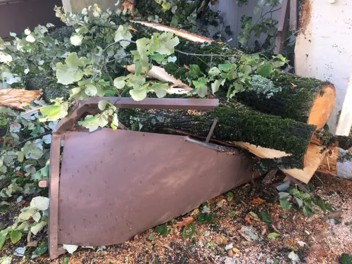Tempête Ciaran. A son retour, il découvre un arbre sur son toit