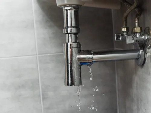 Segré : L’entreprise BLV fête ses 20 ans le 20 mars prochain