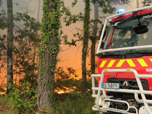Baugé-en-Anjou. Le feu qui a détruit 55 hectares de forêt est fixé