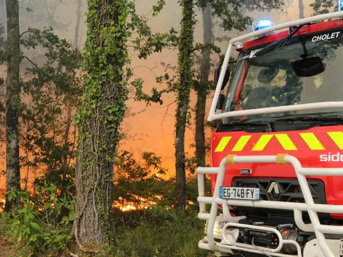 Un incendie a déjà ravagé plus de 600 ha de forêt dans le nord du...