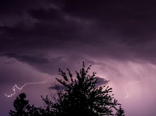 Angers. Vigilance jaune orage : des parcs et des jardins fermés