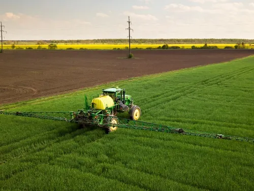 Anti-mouches, produits phyto, biocides... : quel impact des...