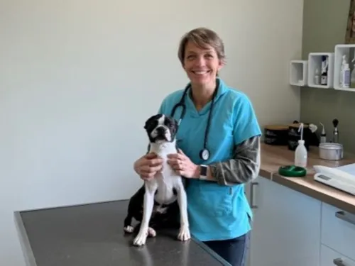 Meslay-du-Maine. Une vétérinaire soigne les animaux à prix réduits...