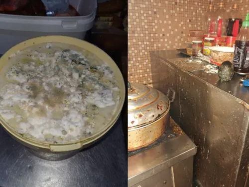 Maine-et-Loire. Rats dans les congélateurs, moisissures sur les...