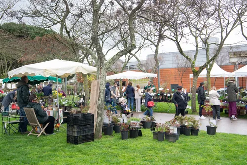 COLOMIERS: cinq listes se disputent la Mairie de la deuxième ville...
