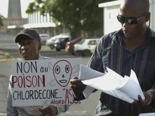 Chlordécone : L’État contraint d’indemniser