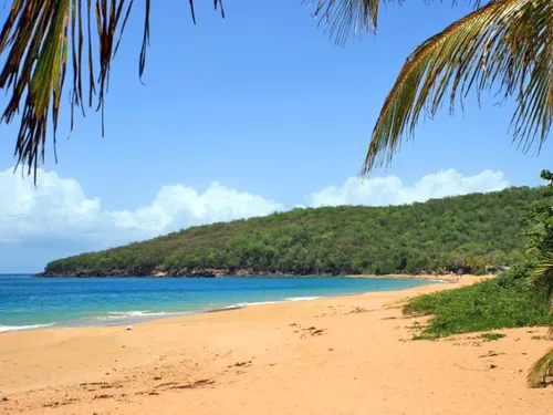 Grande Anse et La Perle à Deshaies classées parmi les plus belles...