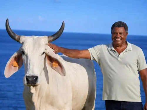 Biguine pourrait faire son grand retour au Salon l’an prochain…...