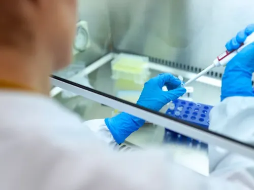 Bien en Alsace : Novalix à Strasbourg