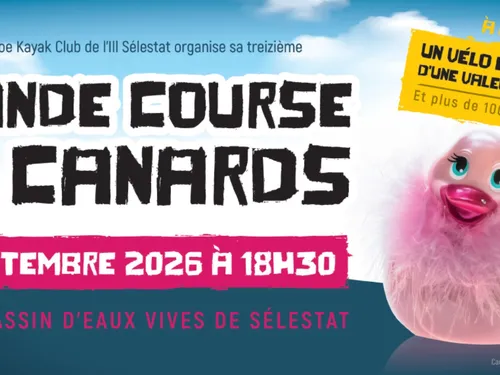 Grande Course de Canards de Sélestat
