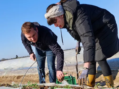 Estelle Challenge de saison avec la récolte d'asperges