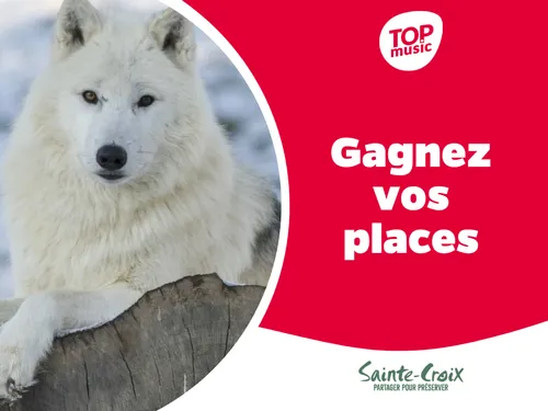 Top Music vous offre vos places pour le Parc de Sainte-Croix !