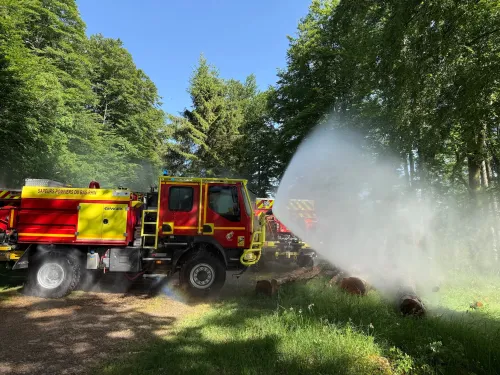 L’Alsace prête à lutter contre les feux de forêts