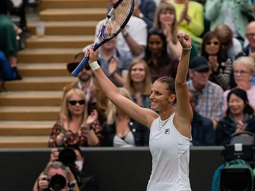 Un tableau de premier choix pour les Internationaux de Strasbourg